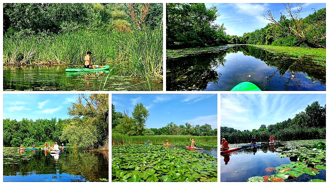 Montázs a tisza-tavi SUP túráról 3